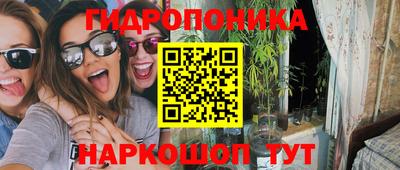 мяу мяу мука Кингисепп