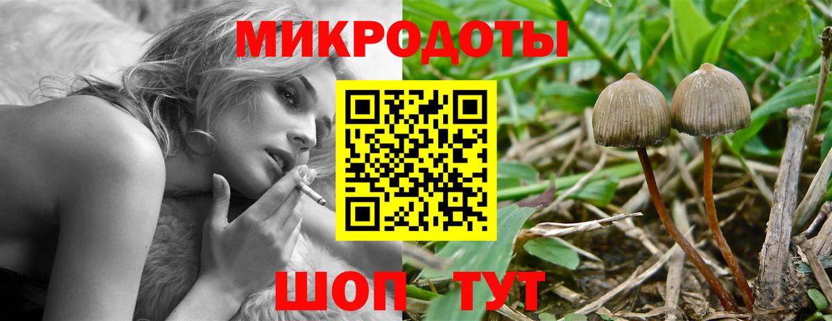Ялуторовск  Псилоцибиновые грибы ЛСД  Вход с VPN 